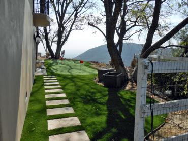 Artificial Grass Photos: Synthetic Turf El Dorado Hills, California Indoor Putting Greens, Backyards