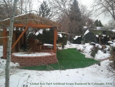 Synthetic Turf Los Altos Hills, California Rooftop, Snow artificial grass