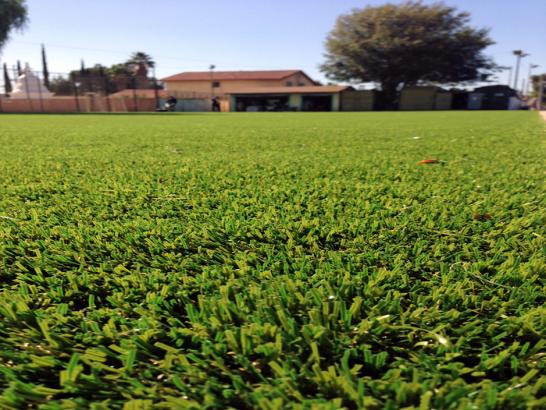 Artificial Grass Photos: Synthetic Turf Moss Beach, California Landscape Design