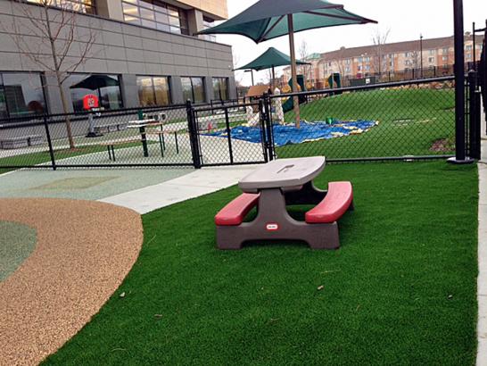 Artificial Grass Photos: Synthetic Turf Mountain House, California Lacrosse Playground, Natural Swimming Pools