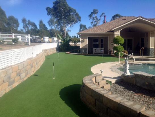 Artificial Grass Photos: Synthetic Turf Opal Cliffs, California Putting Green Grass, Beautiful Backyards