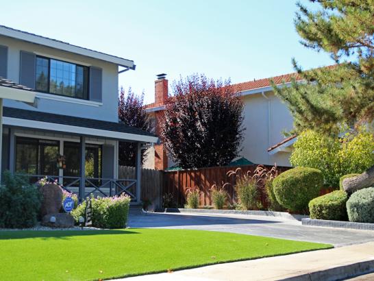 Artificial Grass Photos: Synthetic Turf Pacifica, California Gardeners, Front Yard Landscaping
