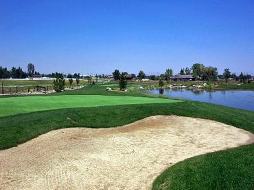 Artificial Grass Photos: Synthetic Turf San Andreas, California Putting Green, Backyard