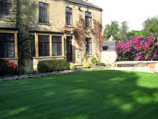 Artificial Grass Photos: Synthetic Turf San Bruno, California Home And Garden, Front Yard