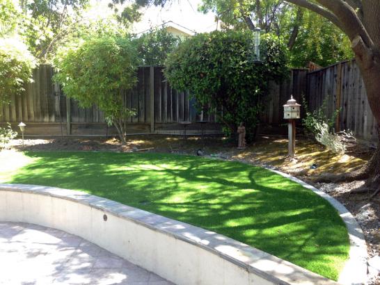 Artificial Grass Photos: Synthetic Turf Seven Trees, California Landscape Rock, Commercial Landscape