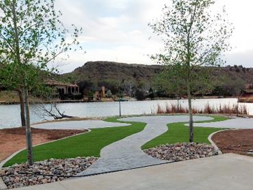 Synthetic Turf Sunol, California Landscape Design artificial grass