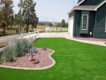 Artificial Grass Photos: Synthetic Turf Supplier Allendale, California Design Ideas, Front Yard Landscaping