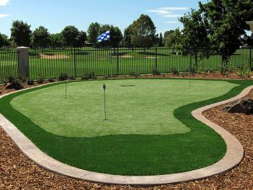 Artificial Grass Photos: Synthetic Turf Supplier Angels Camp, California Landscape Design, Backyard Garden Ideas