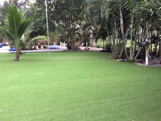 Artificial Grass Photos: Synthetic Turf Supplier Cotati, California Landscape Rock, Commercial Landscape