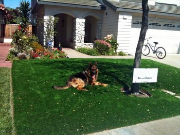 Artificial Grass Photos: Synthetic Turf Supplier Felton, California Dog Park, Front Yard Landscaping