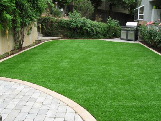 Artificial Grass Photos: Synthetic Turf Supplier Hillsborough, California Backyard Playground