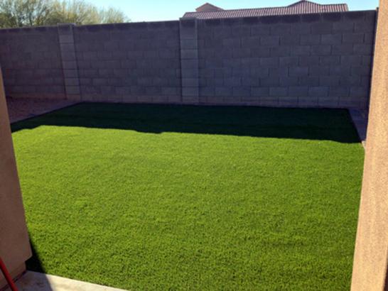 Artificial Grass Photos: Synthetic Turf Supplier Marin City, California Landscape Photos, Beautiful Backyards