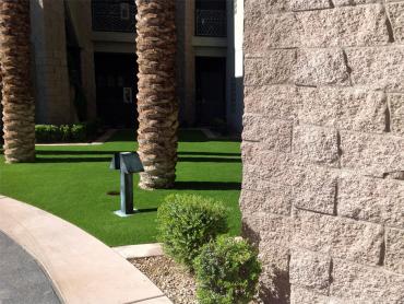 Artificial Grass Photos: Synthetic Turf Supplier Orangevale, California Landscape Design, Commercial Landscape