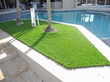 Artificial Grass Photos: Synthetic Turf Supplier Redwood Shores, California Design Ideas, Above Ground Swimming Pool