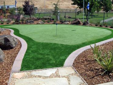 Artificial Grass Photos: Synthetic Turf Supplier Roseland, California Backyard Putting Green, Backyard Garden Ideas