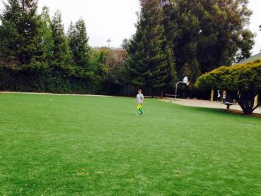 Artificial Grass Photos: Synthetic Turf Supplier Rosemont, California Kids Indoor Playground, Recreational Areas