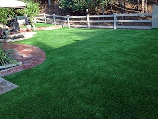 Artificial Grass Photos: Synthetic Turf Supplier San Juan Bautista, California Drainage, Backyard Landscaping Ideas