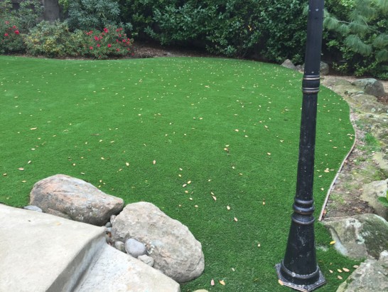 Artificial Grass Photos: Synthetic Turf Supplier Soledad, California Home And Garden, Backyard Ideas