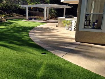 Artificial Grass Photos: Synthetic Turf Supplier Tiburon, California Landscaping, Front Yard Design