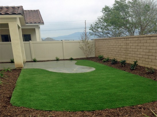 Artificial Grass Photos: Synthetic Turf Supplier Woodbridge, California Backyard Playground, Backyard Garden Ideas