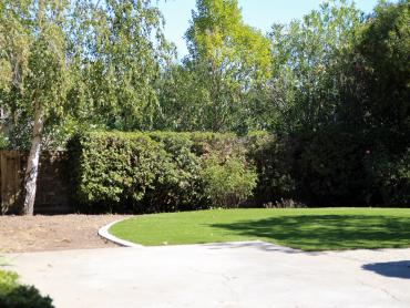 Artificial Grass Photos: Synthetic Turf Three Rocks, California Backyard Deck Ideas, Beautiful Backyards