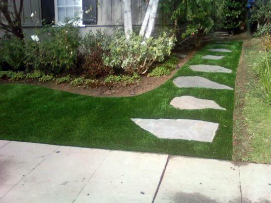 Artificial Grass Photos: Synthetic Turf Woodside, California Garden Ideas, Front Yard Landscape Ideas
