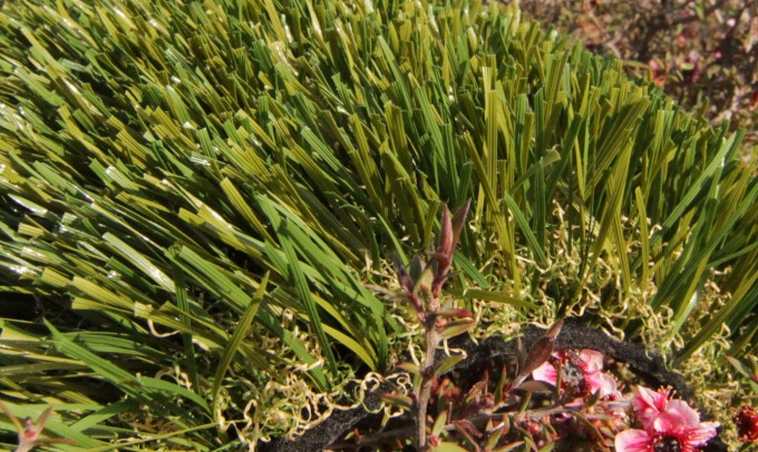 Double S-61 syntheticgrass Artificial Grass San Jose California