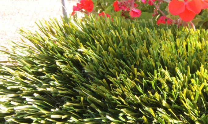 Double S-61 syntheticgrass Artificial Grass San Jose California