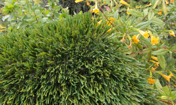 Double S-72 syntheticgrass Artificial Grass San Jose California