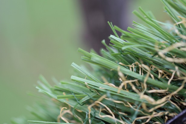 Playground Synthetic Grass