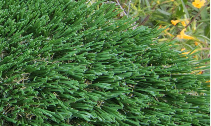 Hollow Blade-73 syntheticgrass Artificial Grass San Jose California