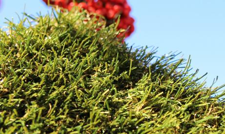 Residential Artificial Turf