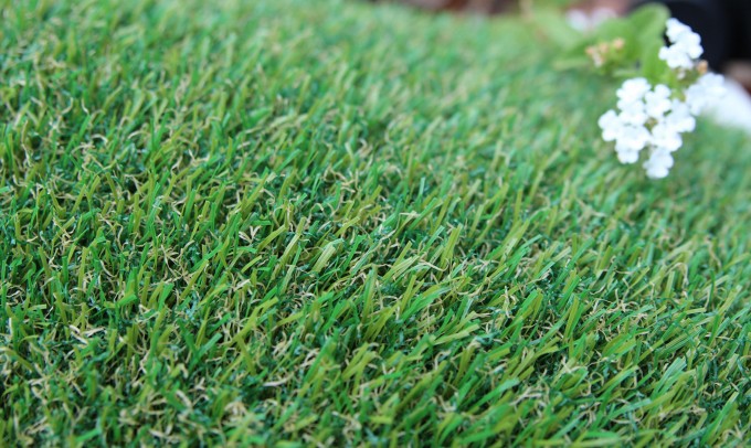 Petgrass-55 syntheticgrass Artificial Grass San Jose California