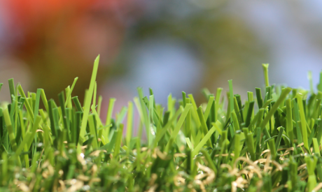 Synthetic Grass Turf