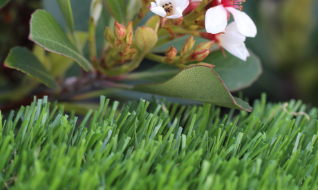 Synthetic Surface For Children