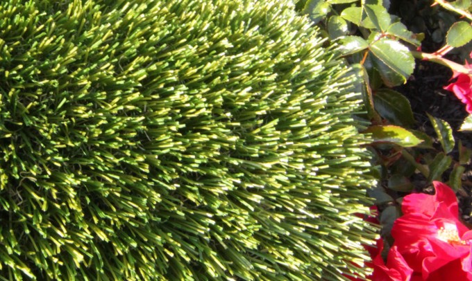 V Blade-64 syntheticgrass