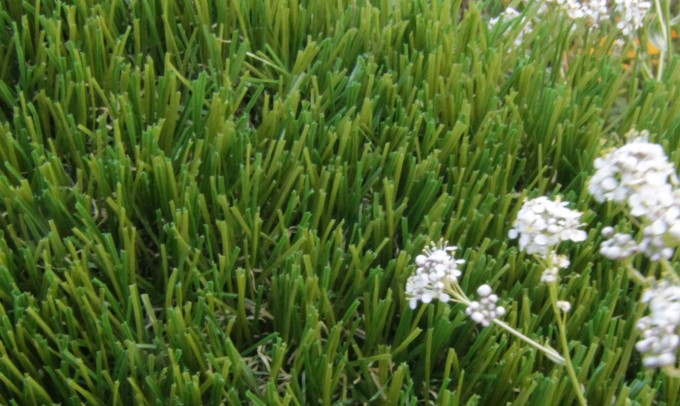 V Blade-64 syntheticgrass Artificial Grass San Jose California
