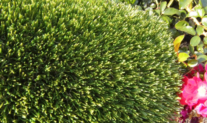 V Blade-77 syntheticgrass Artificial Grass San Jose California