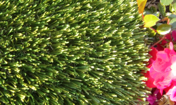 V Blade-77 syntheticgrass Artificial Grass San Jose California