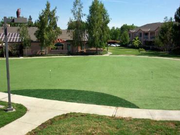 Artificial Grass Photos: Turf Grass Angwin, California Indoor Putting Green, Commercial Landscape