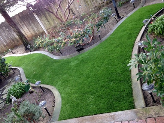 Artificial Grass Photos: Turf Grass Black Point-Green Point, California Lawn And Landscape, Backyard Design