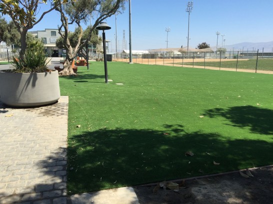 Artificial Grass Photos: Turf Grass Buena Vista, California Backyard Deck Ideas, Parks