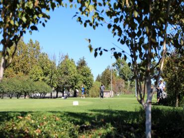 Artificial Grass Photos: Turf Grass Catheys Valley, California Paver Patio