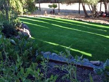 Artificial Grass Photos: Turf Grass Deer Park, California Landscape Ideas, Backyard Landscaping