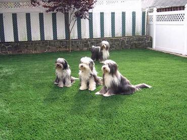 Artificial Grass Photos: Turf Grass Deer Park, California Landscape Rock, Backyard Garden Ideas