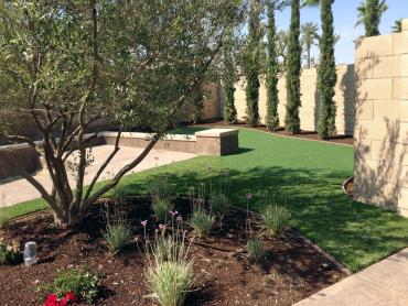 Artificial Grass Photos: Turf Grass Discovery Bay, California Landscape Photos, Backyard Makeover