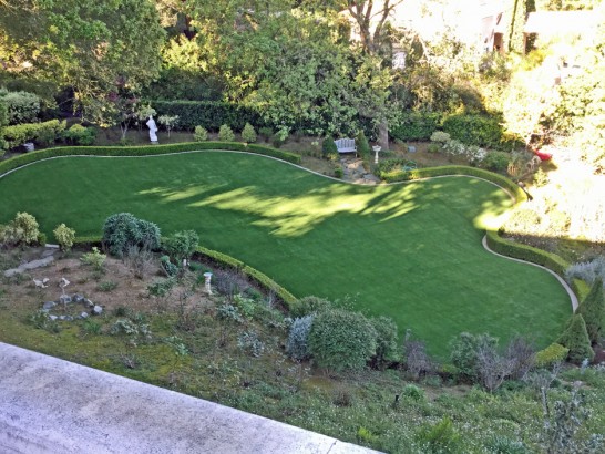 Artificial Grass Photos: Turf Grass Dos Palos, California Pet Grass, Backyard Landscaping