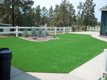 Artificial Grass Photos: Turf Grass Dublin, California Backyard Deck Ideas, Front Yard