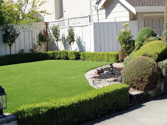 Artificial Grass Photos: Turf Grass Elkhorn, California Lawn And Garden, Front Yard Ideas