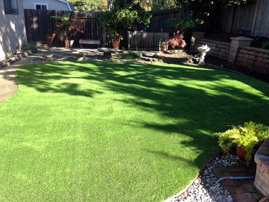 Artificial Grass Photos: Turf Grass Farmington, California Artificial Turf For Dogs, Backyard Design